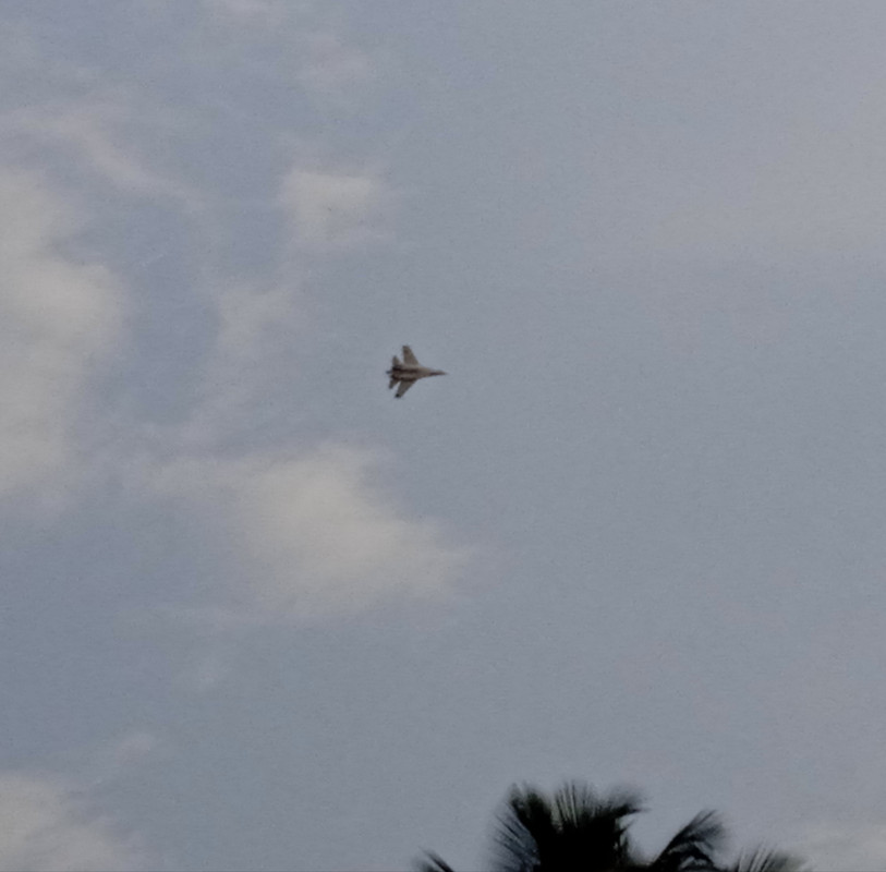 IMG-20231009-173533.jpg