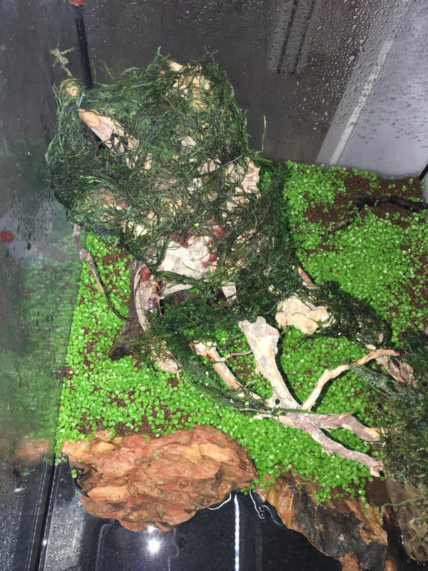 A70B8F01-690E-40A0-B59B-0F40B4227194