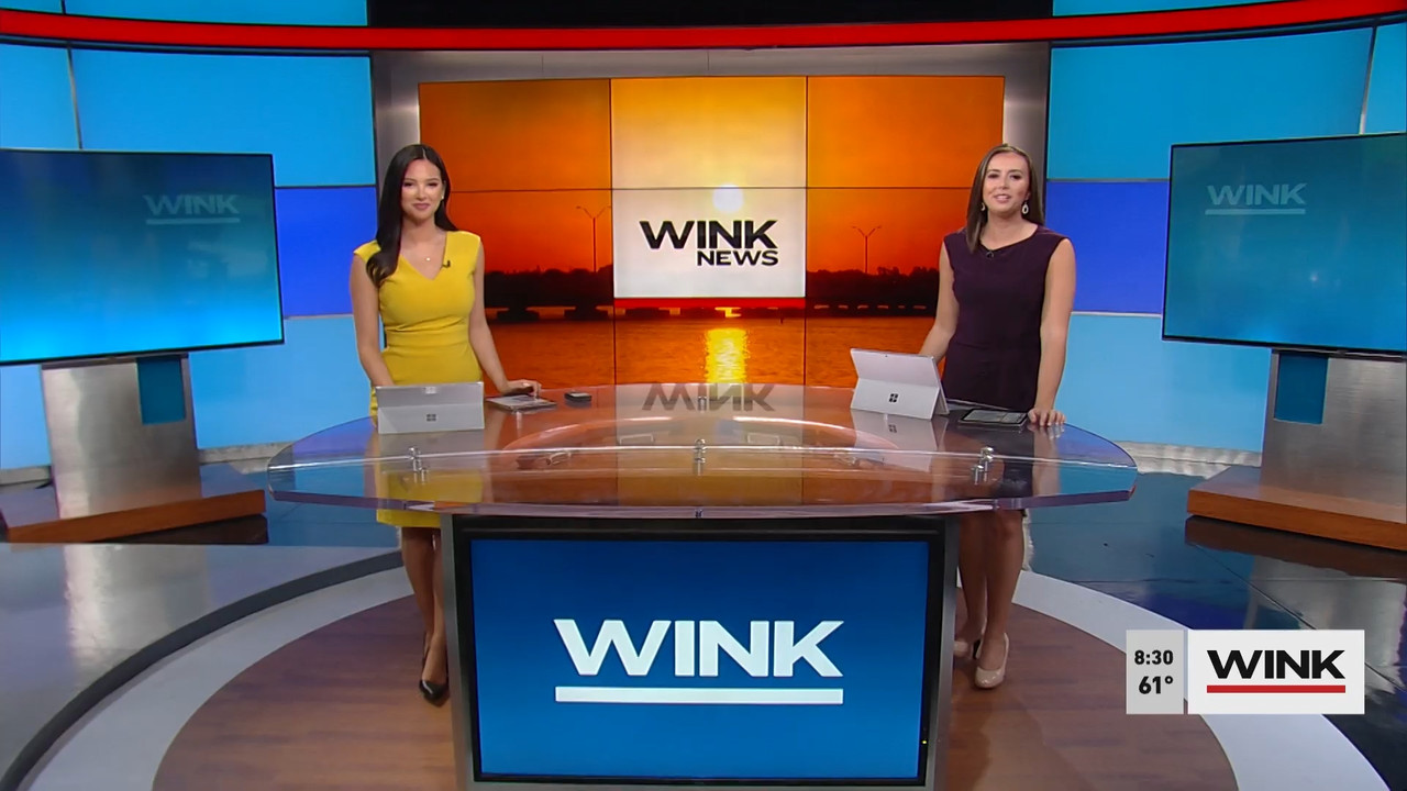 03.20 - 11.00.00 - WINK News at 7 00 a.m. Saturday._001.ts_snapshot_00.41.579