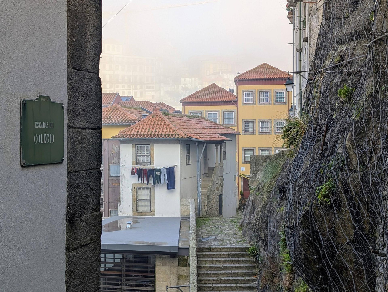 641478482 25574963495536613 1217861625464103582 n