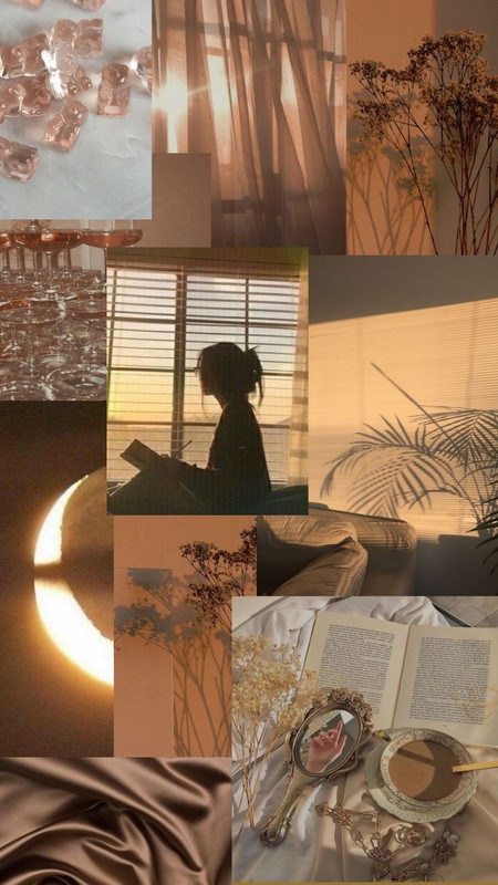 7793a83de2f1a8c4cb4729ea179ad864