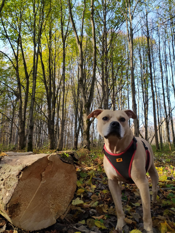 A8434081-7894-4D3E-AE9B-9AC21A11B9BD