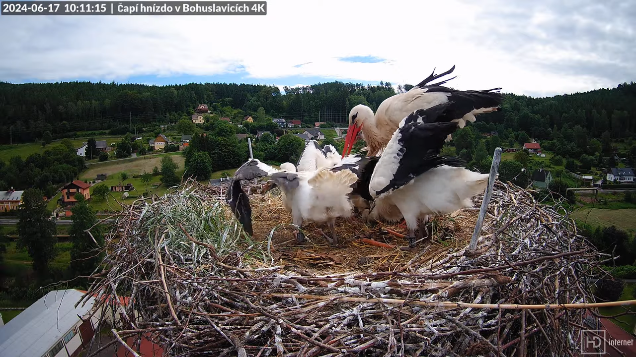 Tiešraidē no uzņēmuma KARA stārķa skursteņa Bohuslavicē pie Trutnovas 11-14-35 screenshot