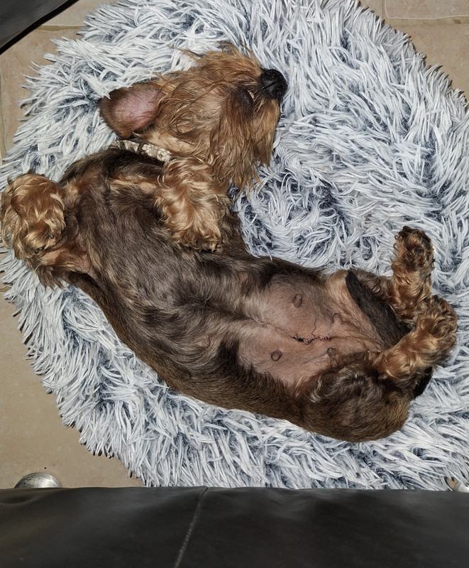 [Image: 20240508-151854.jpg]