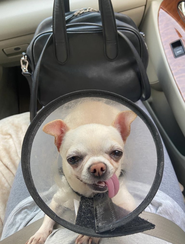 8E948B3C-53D5-4B3E-B85E-48027DF1C232