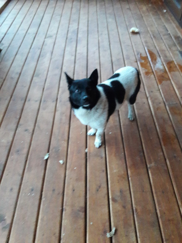 6A49B392-23F7-4348-9980-34B75230C6D7