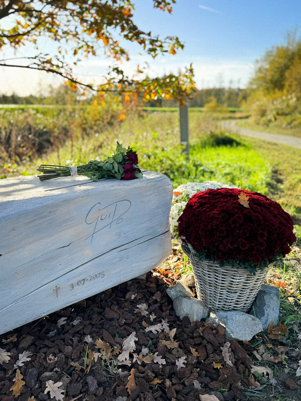 577826168-1280039787497840-8463866608676062879-n