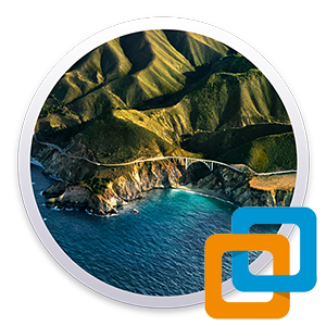 macOS Big Sur v11.6 (20G165) for VMware (Intel & Ryzen) - Ita