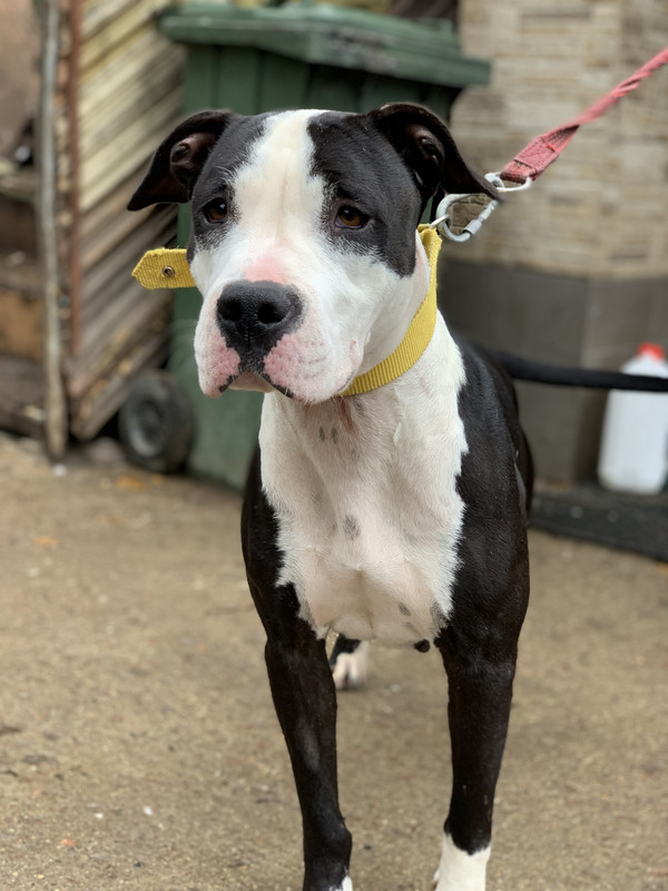 56D66FD9-198E-48B7-BCEF-158AB4C9CAF4