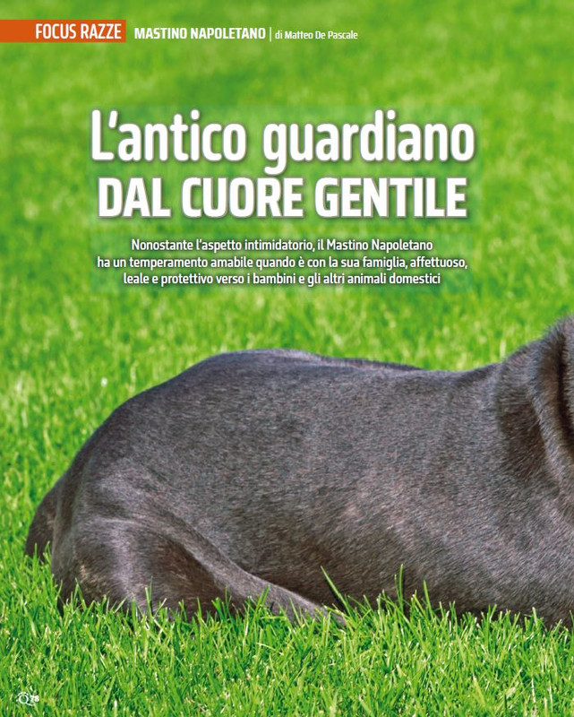 QuattroZampe Set 2024 (5)