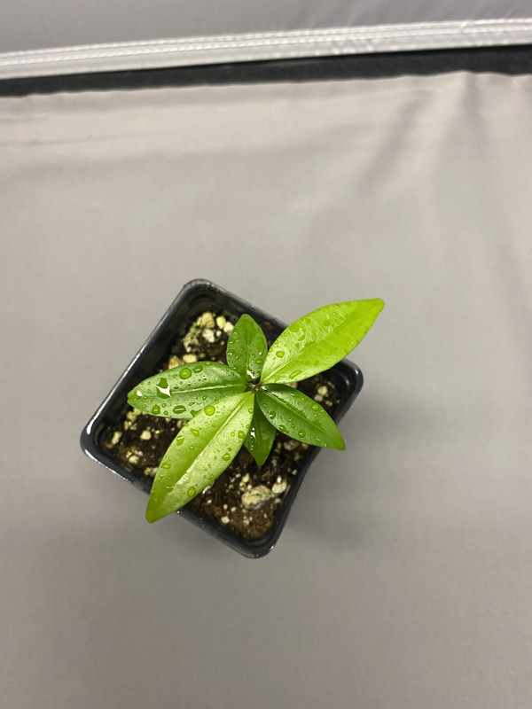 9B08A770-57F3-45FD-B30D-7FEABAC4AF47