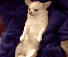 200-2.gif