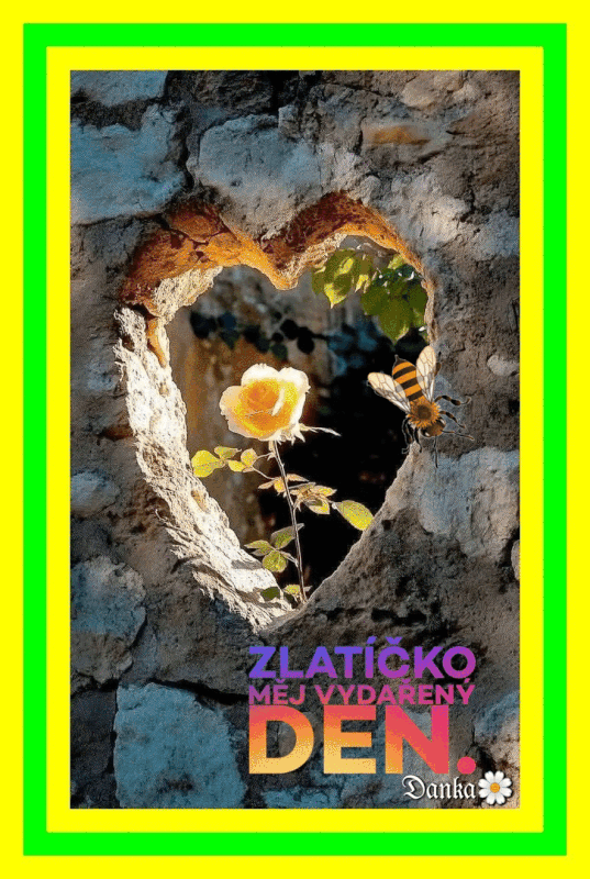 oie-overlay-gif.gif