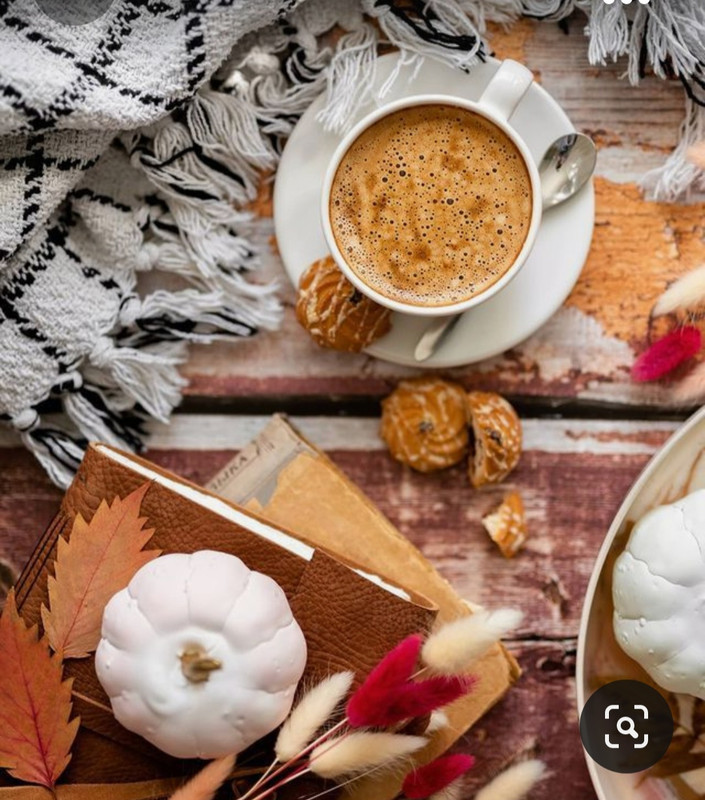 Screenshot_20231008_222703_Pinterest