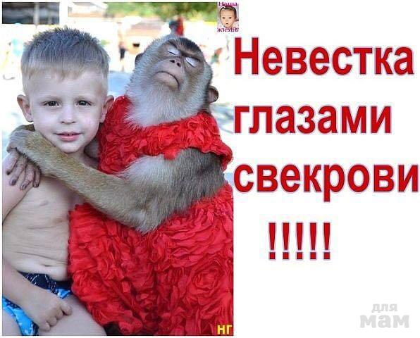 4b580024-904e-4c69-a245-3a7bd7984240