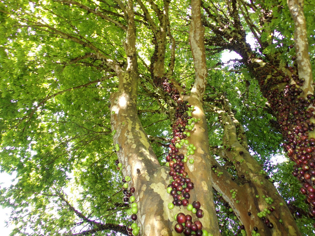 WhatsApp Image 2020-12-20 at 00.58.58 (18)