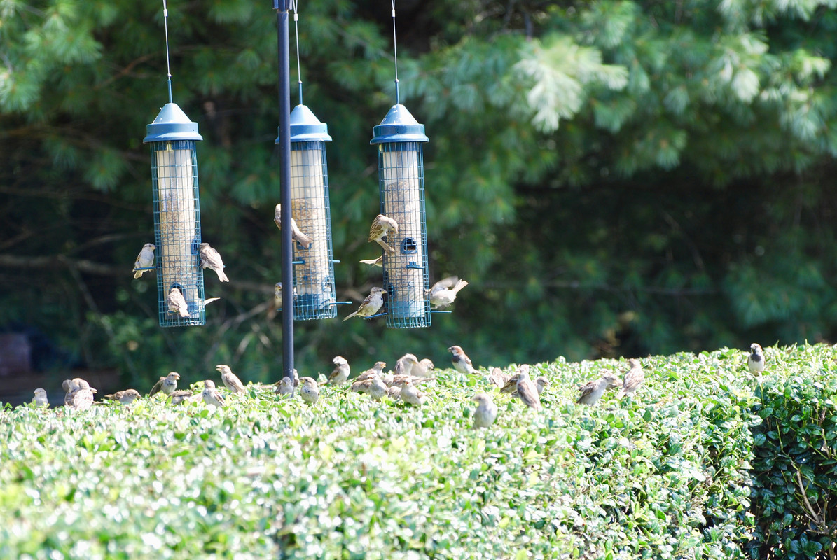 E47CA609-9D35-49FA-AAF4-EA7152448F70