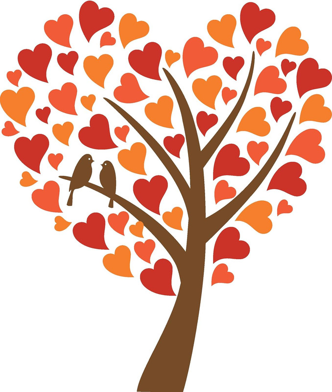 81KchZiaiRL._AC_SL1500_