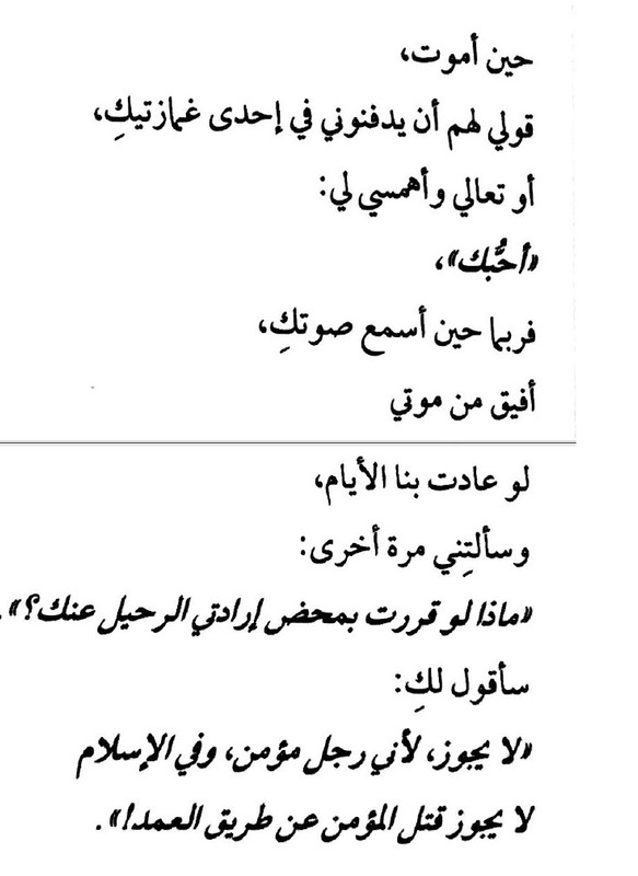 مدينة لا يسكنها العقلاء 5