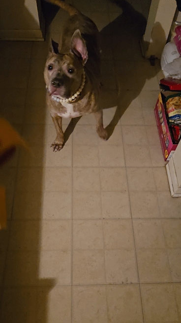 20250312-201940-1.gif
