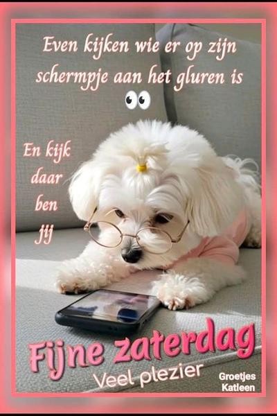 25e5f26de6c149fc9089c52be99b39cb.jpg