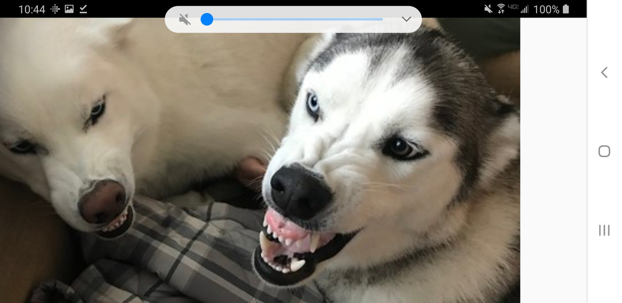Screenshot_20200406-104442_Chrome