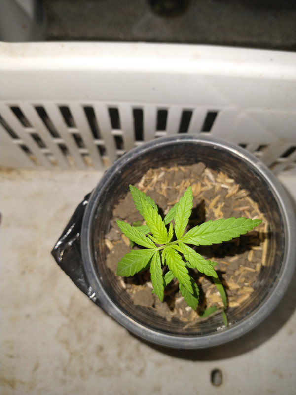 IMG_20210411_202840378