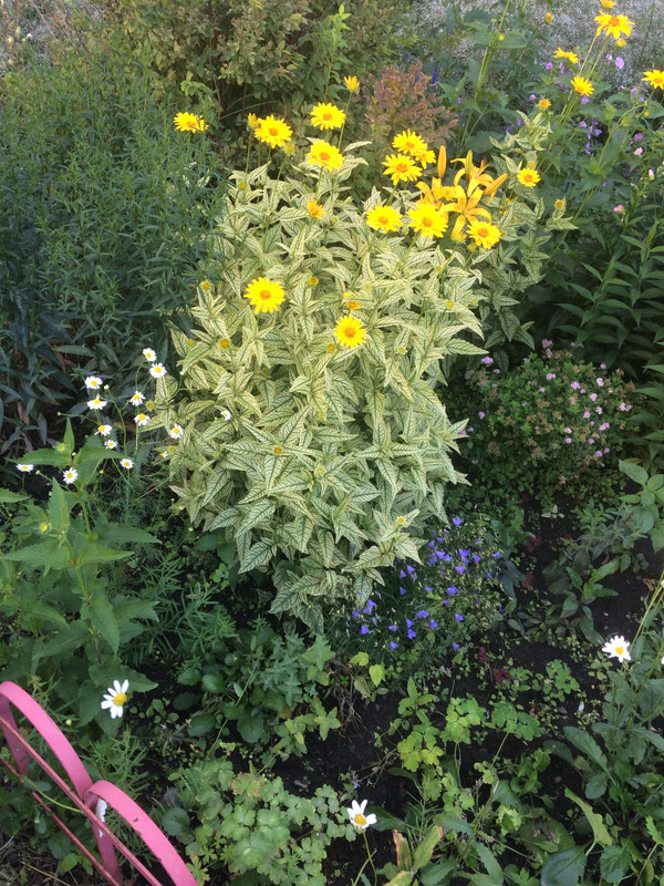 2DE6E56E-80C7-48D5-8B7A-D34FF71549CF