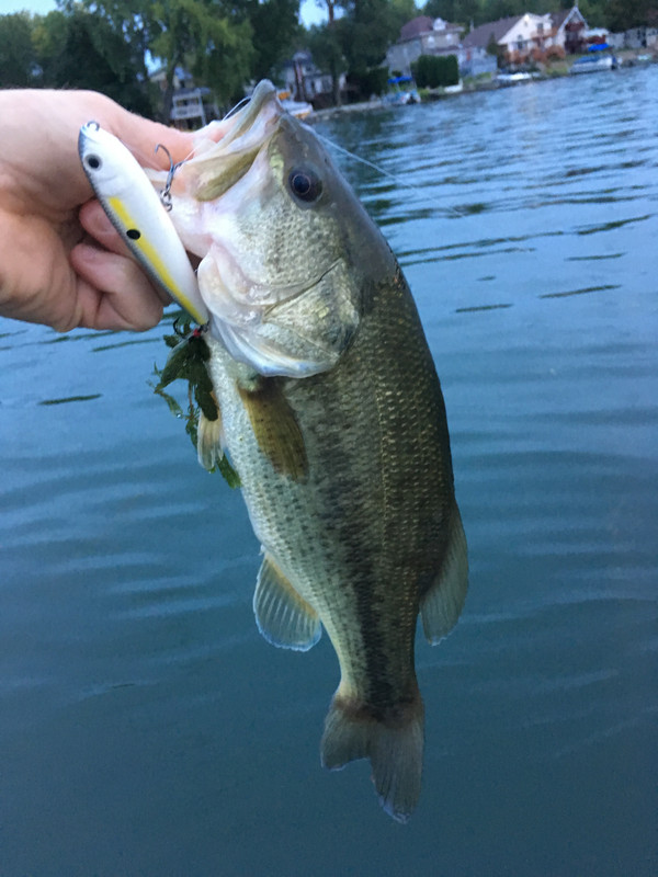 979EBD00-E4F0-470A-ACF1-BD3D4FF63CA7