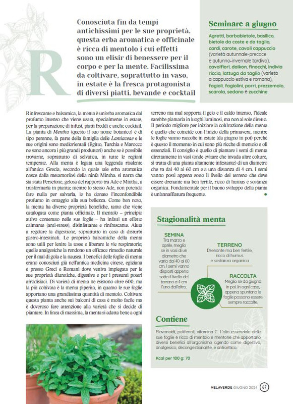melaverde Giu 2024 (8)