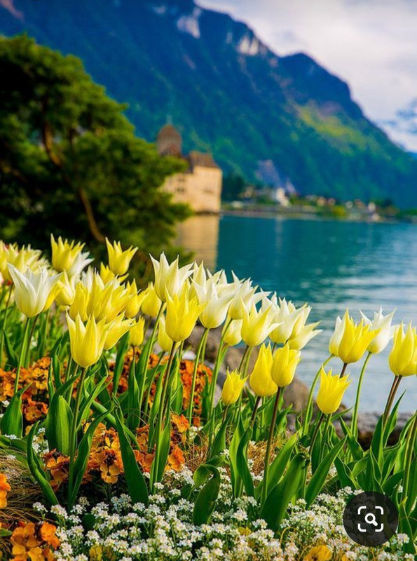 Screenshot_20240305_222656_Pinterest