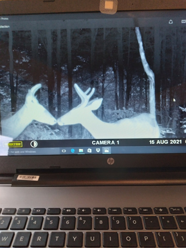 2331625F-416D-486C-A90C-4ABDCAE19111