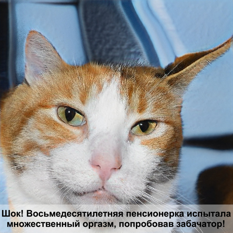 самые красивые окрасы кошек