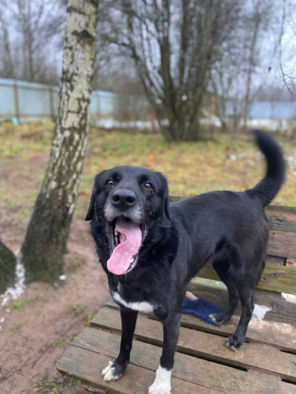 photo 2025 11 29 20 55 59