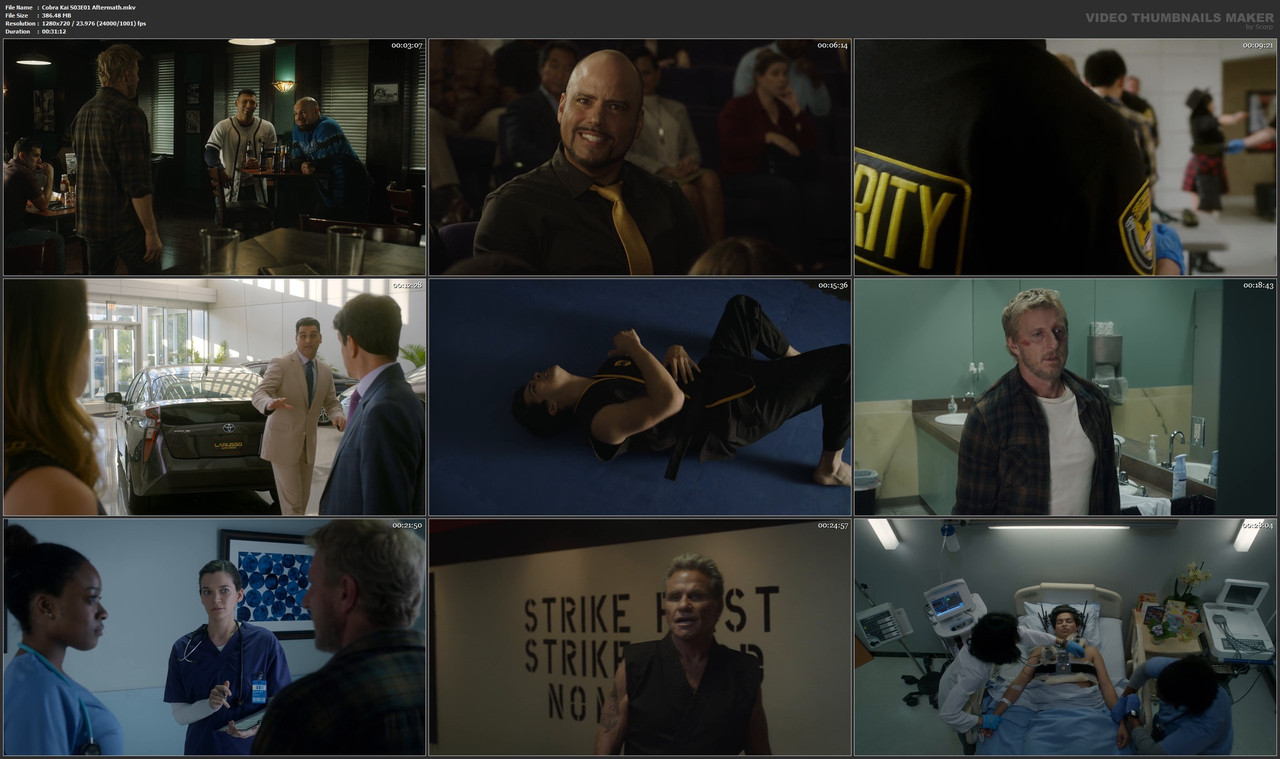 Cobra Kai S03E01 Aftermath.mkv