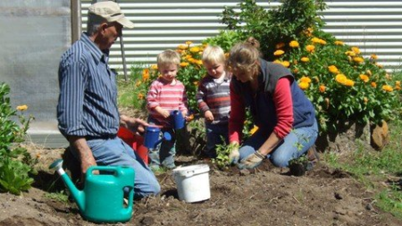 Composting With Worms Made Easy