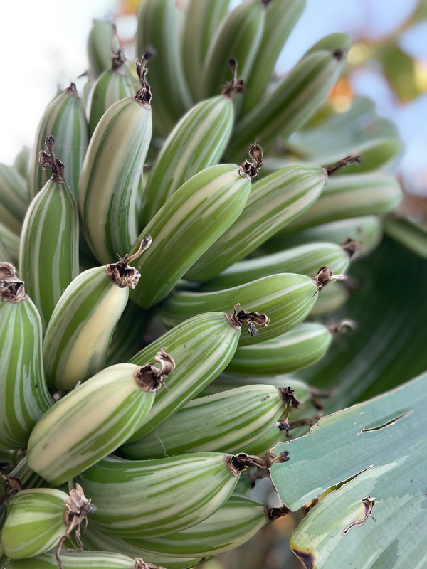 5F5BD717-C996-49FC-B043-96475BF33915