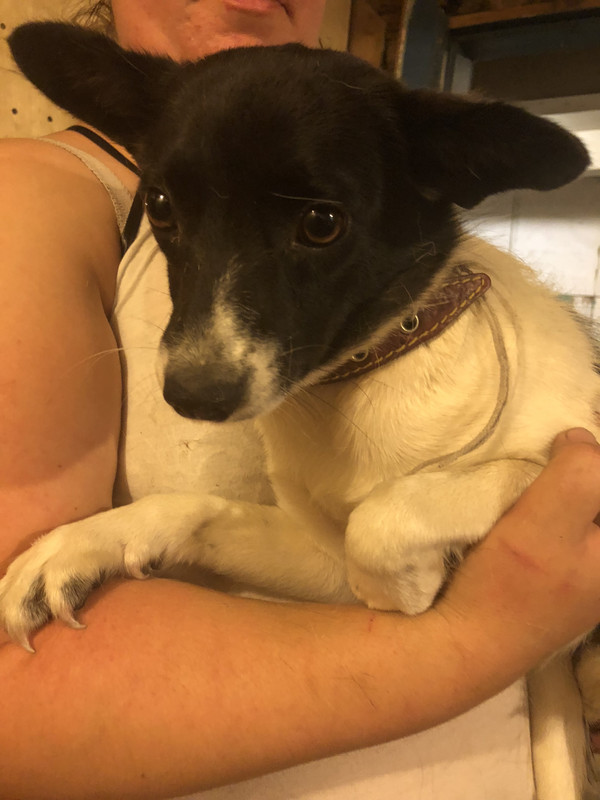 20A8CF5F-669D-479D-ADC7-A4AAFD9A8954