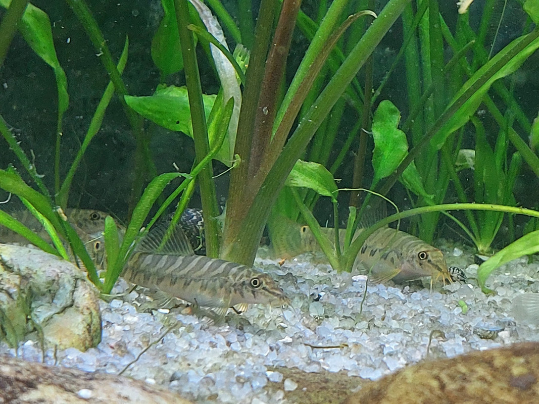 изображение_viber_2025-04-11_12-58-43-950