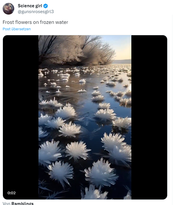 Eisblumen auf See