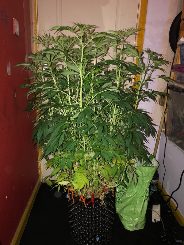 E09AE8B5-DFB6-42AE-A99F-298B6E6E8609