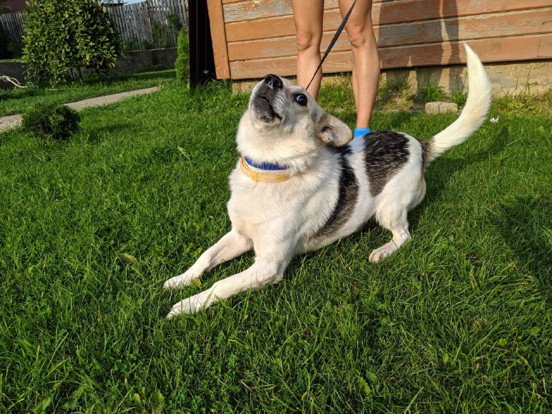 2f64c957-6e09-4992-b686-007dab479600