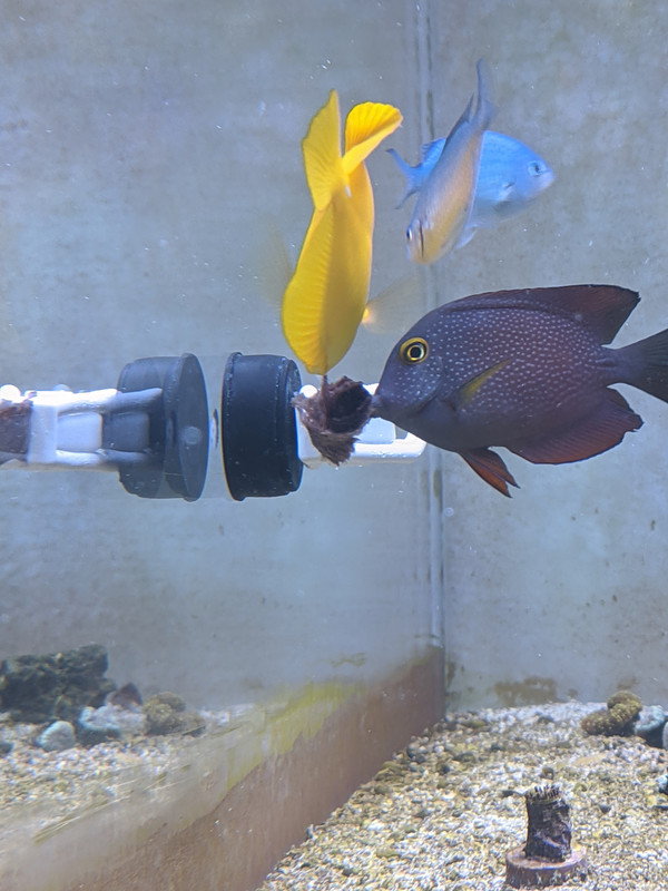 00000IMG_00000_BURST20210602192420531_COVER