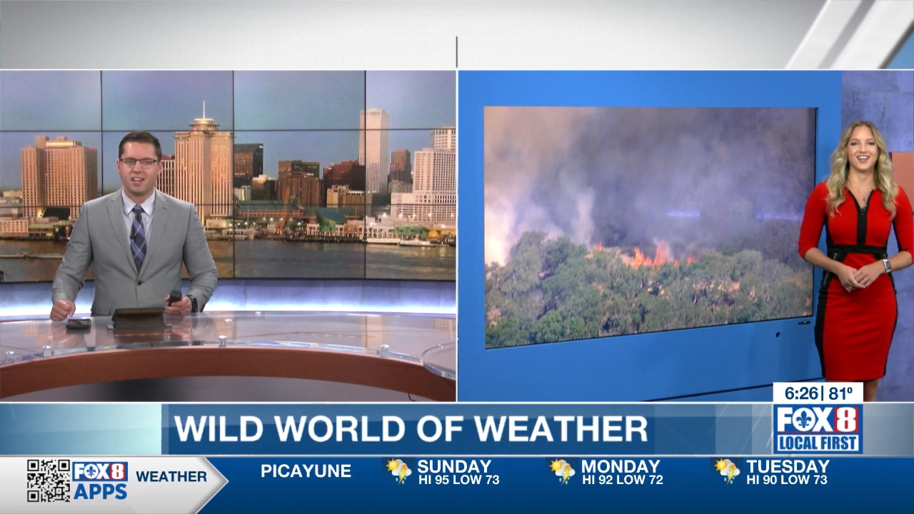 06.26 - 12.00.00 - Fox 8 Sunday Morning News  ᴺᵉʷ. Sunday morning new....ts_snapshot_28.19.405