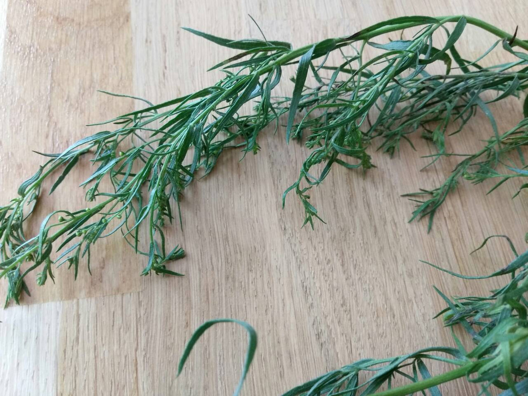 0-02-05-09f93e5f1725cdbc46a99e048d23f03fd4769e94f8d178d6059074fe