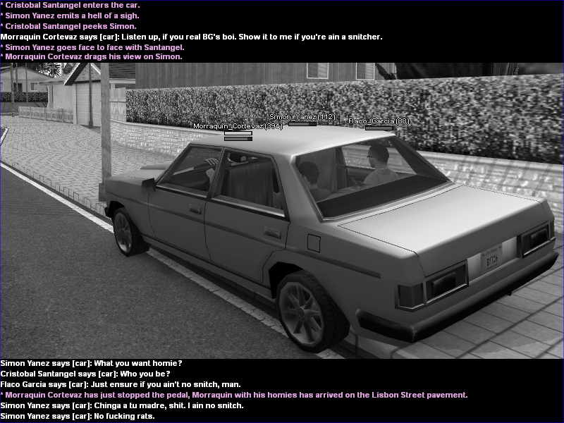 SS1.png