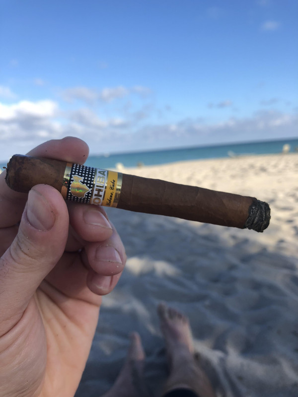 6E793D23-6552-4021-978B-ACBE6CBD6482