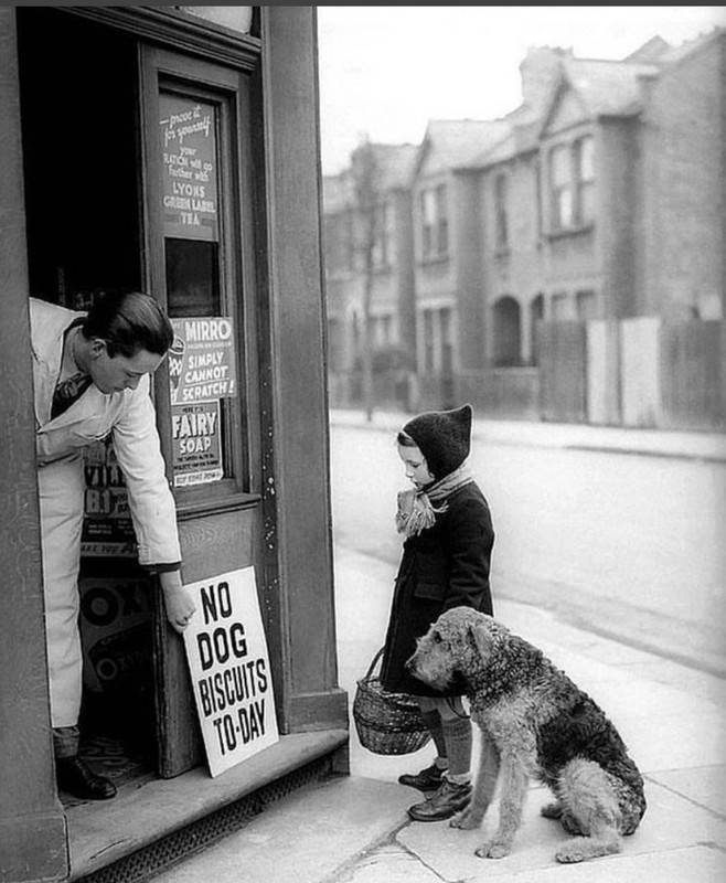 6-A9-F6-D3-D-7-E87-4-D6-D-9-DC0-4-F74-EE