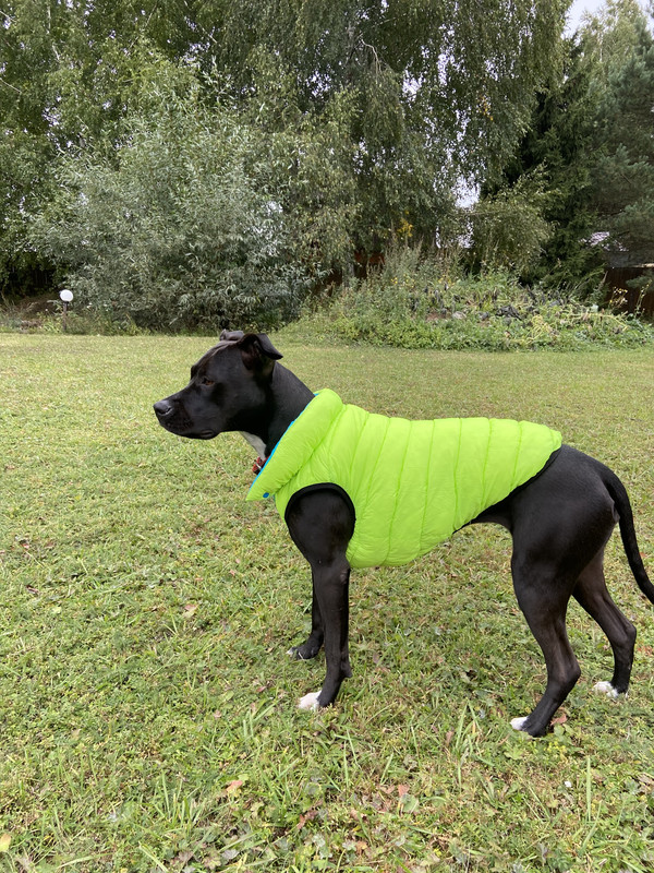 20420832-83DD-446F-ADA9-EEC82876E14D