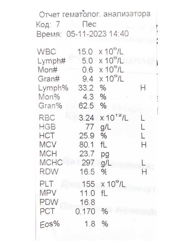 Анализ крови от 05 11 23 1часть — Postimages